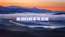 防治白蟻不可忽視