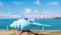 白蟻站：白蟻常見(jiàn)種類及習(xí)性