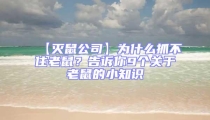【滅鼠公司】為什么抓不住老鼠？告訴你9個關于老鼠的小知識