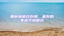哪種蟑螂藥好用，最好的家庭滅蟑螂藥