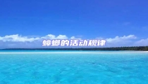 蟑螂的活動規(guī)律