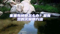 家里有蟑螂怎么辦？最有效的滅蟑螂方法