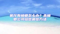 餐廳有蟑螂怎么辦？殺蟑螂公司給您最佳方法