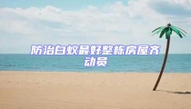 防治白蟻?zhàn)詈谜麠澐课蔟R動(dòng)員
