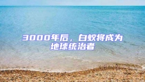 3000年后，白蟻將成為地球統治者