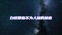 白蟻那些不為人知的秘密