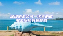 深圳消殺公司一次真的能夠去除所有蟑螂嗎