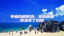 專業(yè)白蟻防治：農(nóng)藥噴灑防治不了白蟻
