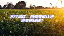 不可思議：白蟻竟能讓沙漠變成綠地？