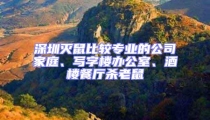 深圳滅鼠比較專業的公司家庭、寫字樓辦公室、酒樓餐廳殺老鼠