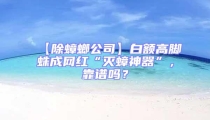 【除蟑螂公司】白額高腳蛛成網紅“滅蟑神器”，靠譜嗎？