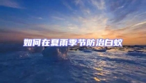 如何在夏雨季節防治白蟻