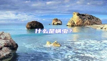 什么是螨蟲？