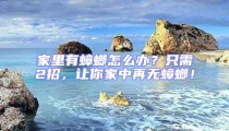 家里有蟑螂怎么辦？只需2招，讓你家中再無蟑螂！
