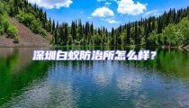 深圳白蟻防治所怎么樣？