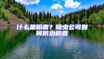 什么是粉蠹？除蟲公司如何防治粉蠹