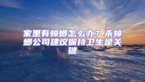 家里有蟑螂怎么辦？殺蟑螂公司建議保持衛(wèi)生是關(guān)鍵