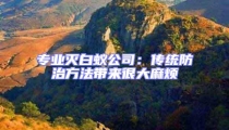 專業滅白蟻公司：傳統防治方法帶來很大麻煩
